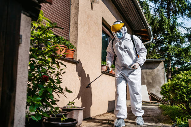 Best Flea Control Services  in National Harbor, MD