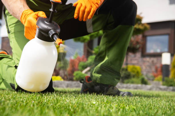 Best Rat Extermination Near Me  in National Harbor, MD