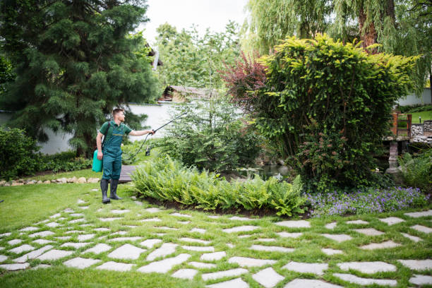 Best Affordable Pest Control Services  in National Harbor, MD