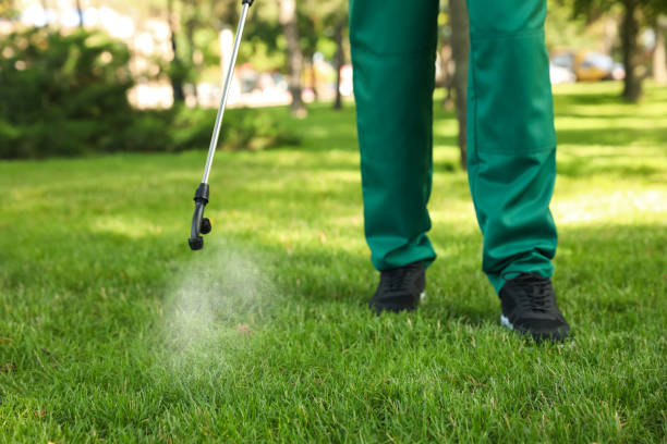 Best Ant Control Services  in National Harbor, MD