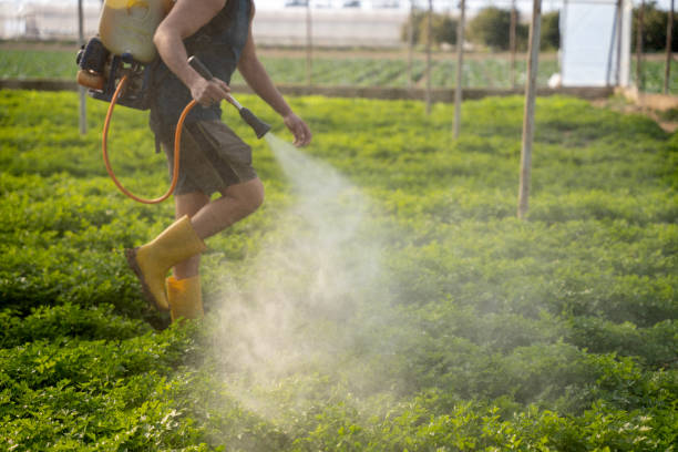 Best Best Pest Control Companies  in National Harbor, MD