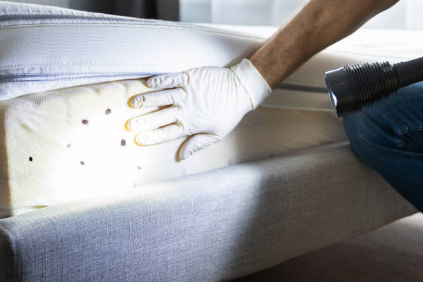 Best Exterminator Services  in National Harbor, MD